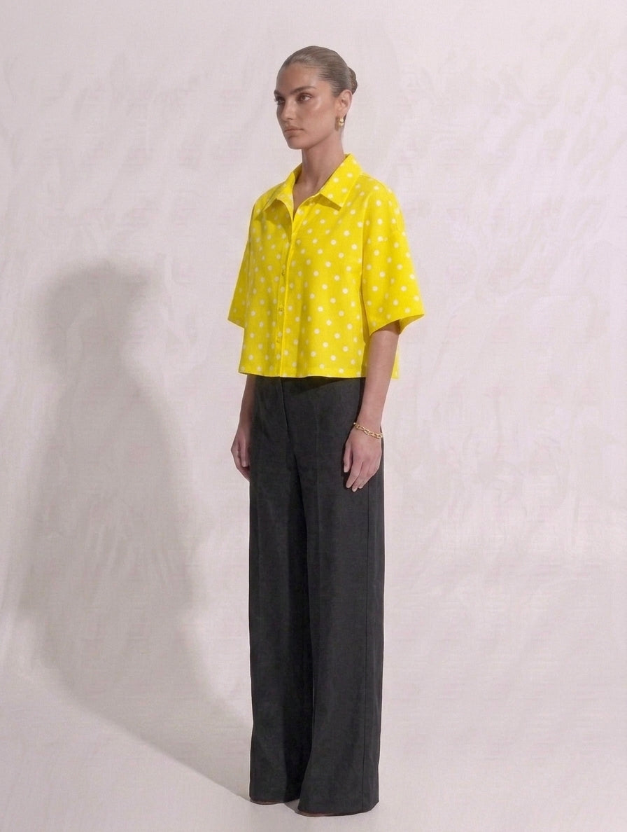 Polka Dot Shirt